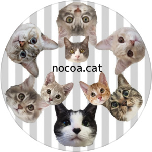 猫のキーケース　nocoa.cat